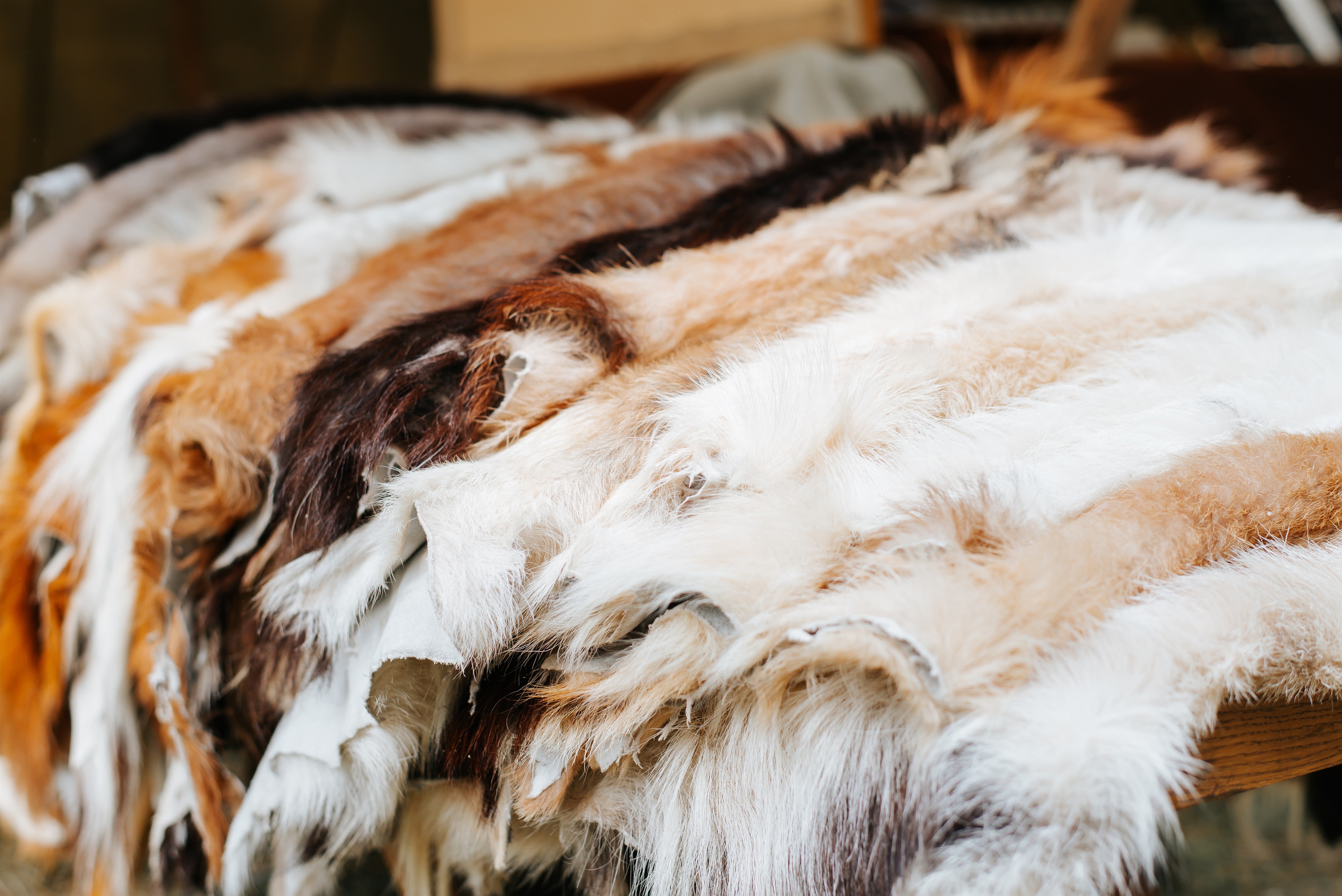 Leather & Fur